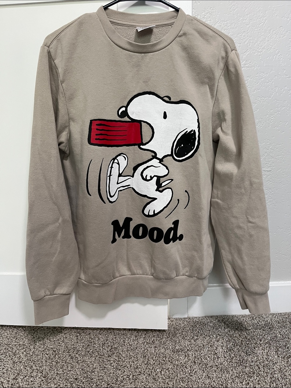 Peanuts Snoopy Sweater